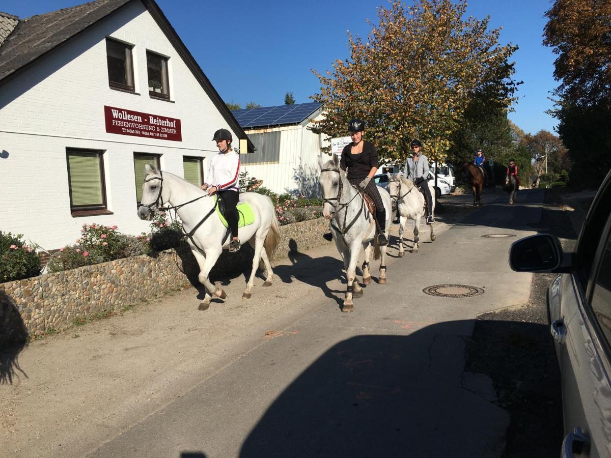 Reiterhof Wollesen Hotel Süderlügum Kültér fotó